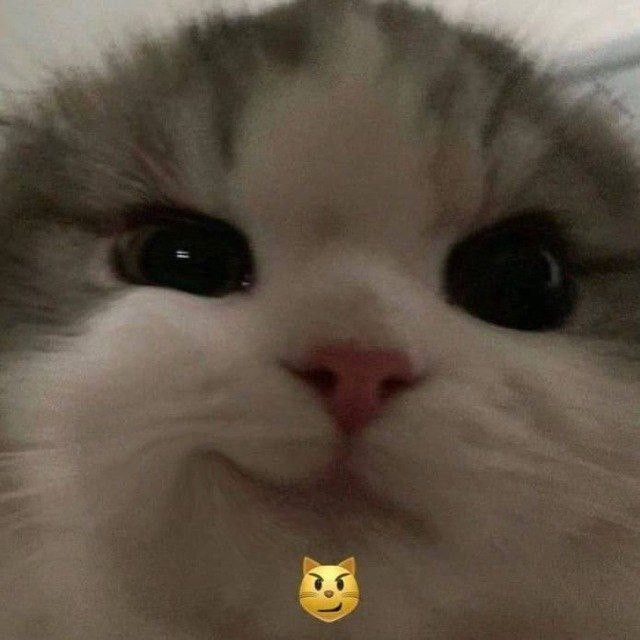 640x640