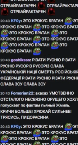 251x466