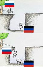 634x990