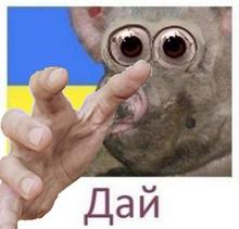 352x338