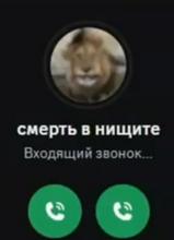 1080x1495