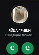 1080x1494